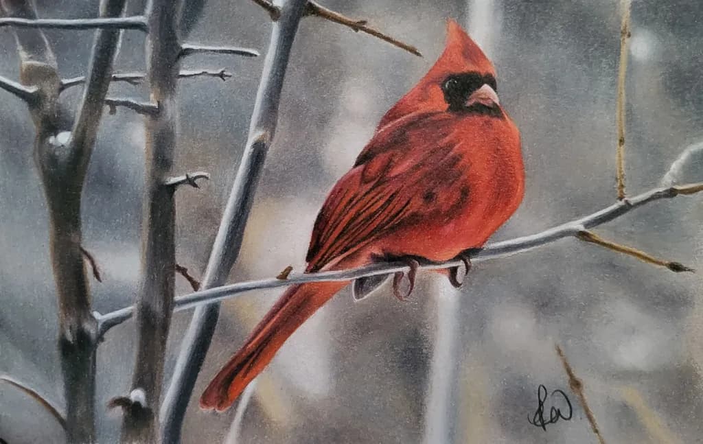 Vibrant Cardinal: A Glimpse of Nature's Beauty in Colored Pencil Art