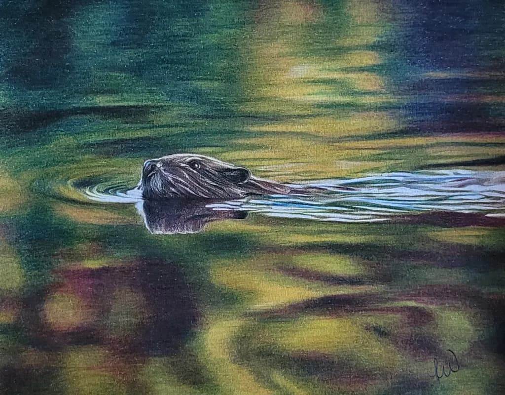 "Reflections of Nature: A Beaver's Journey Through Ontario Waters"