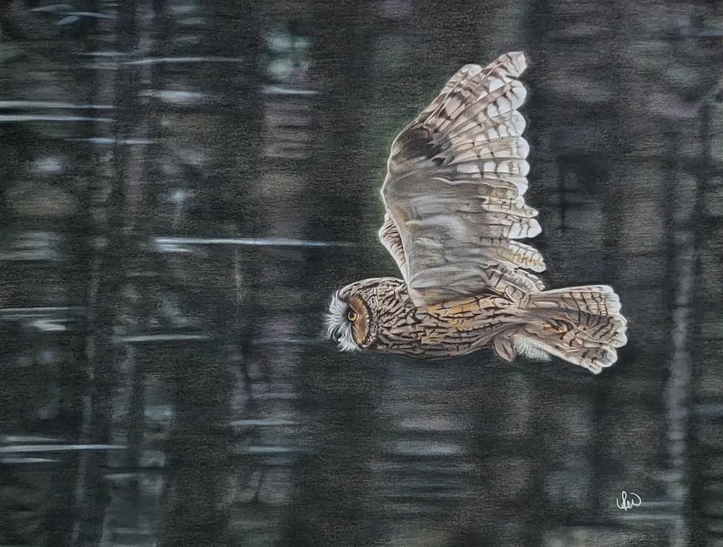 Great Gray Flight