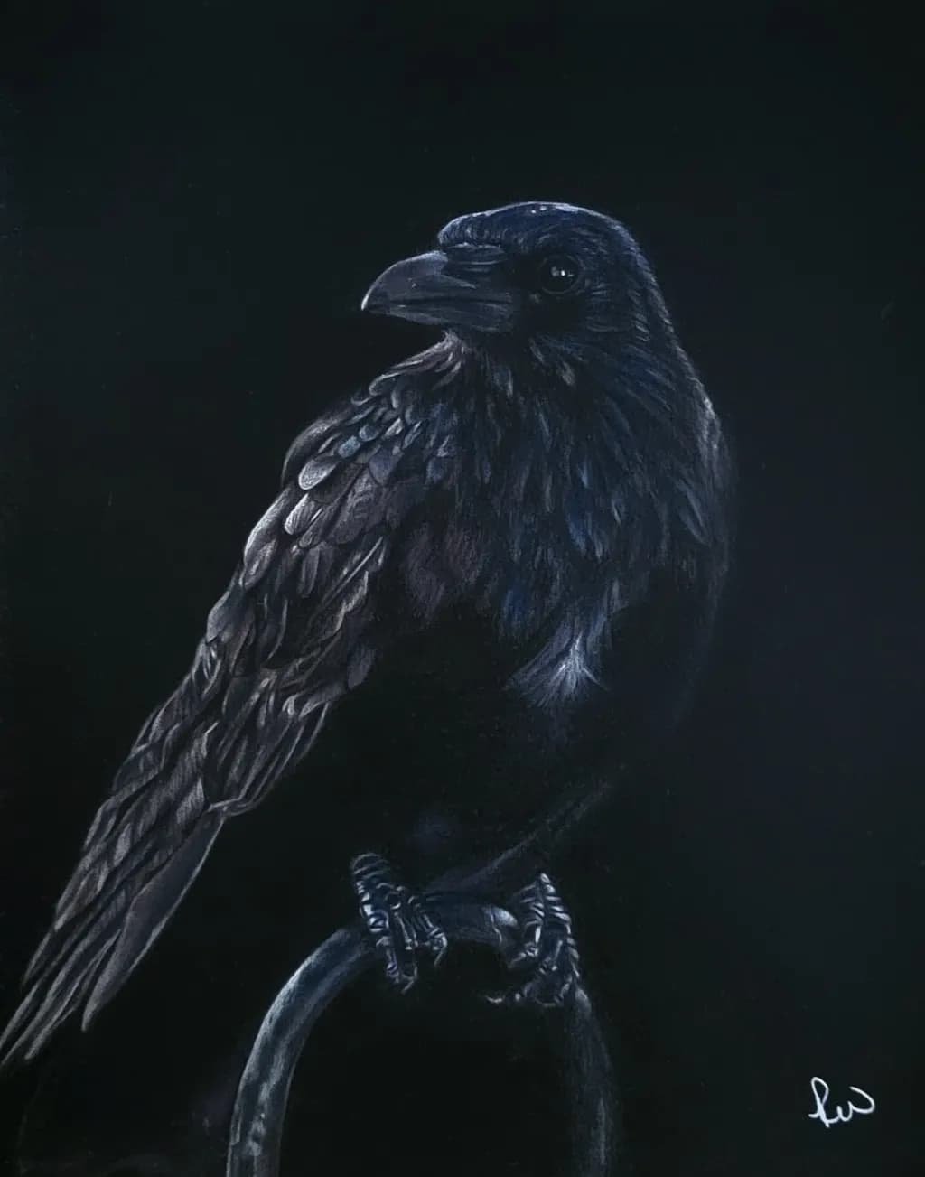 Raven Study