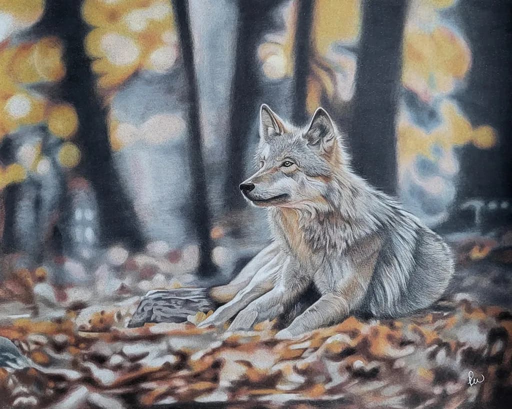 Autumn Watcher