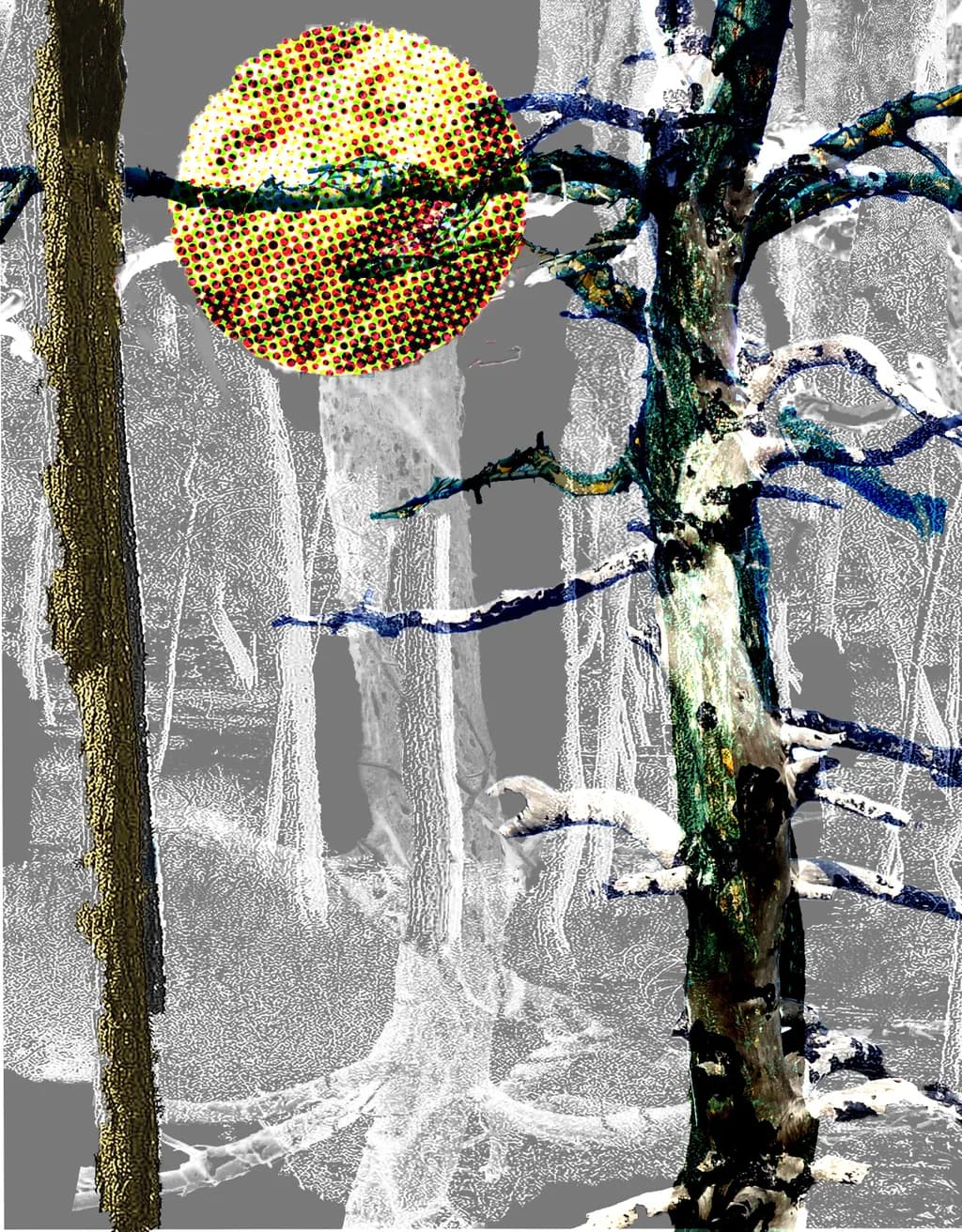 Haze Collage