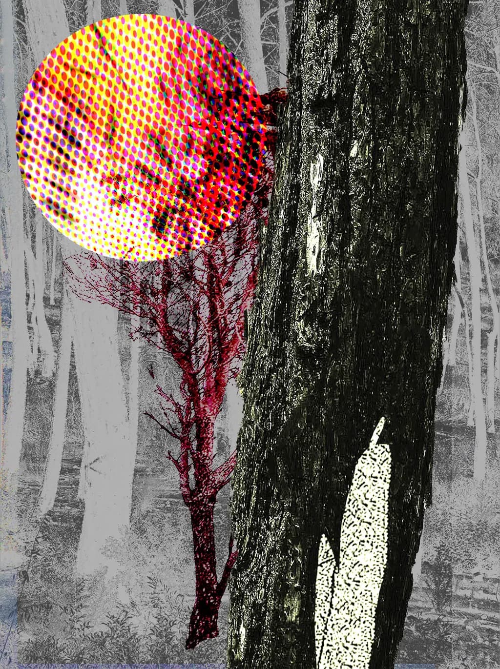 Final Dawn Collage