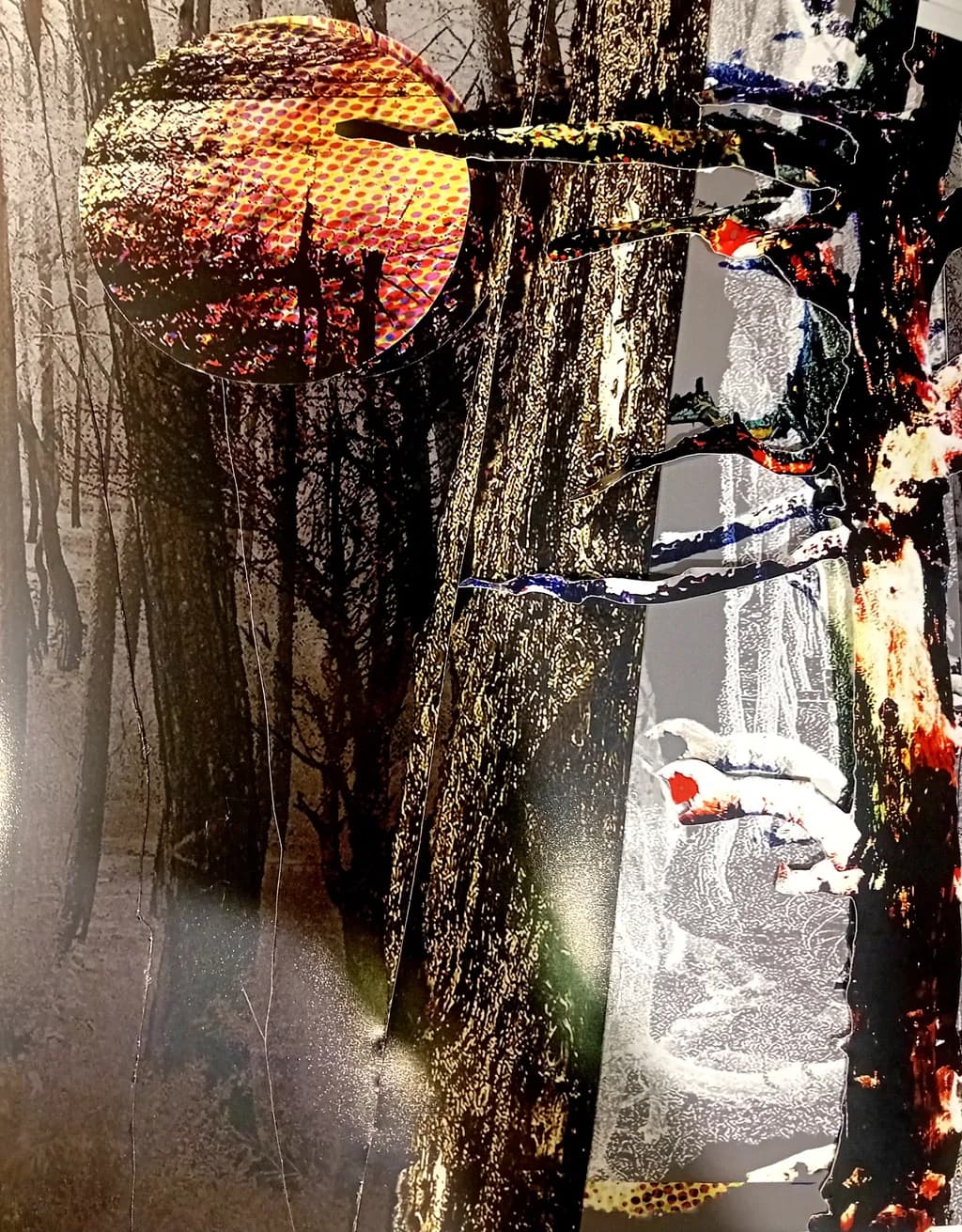 Dusky Grove