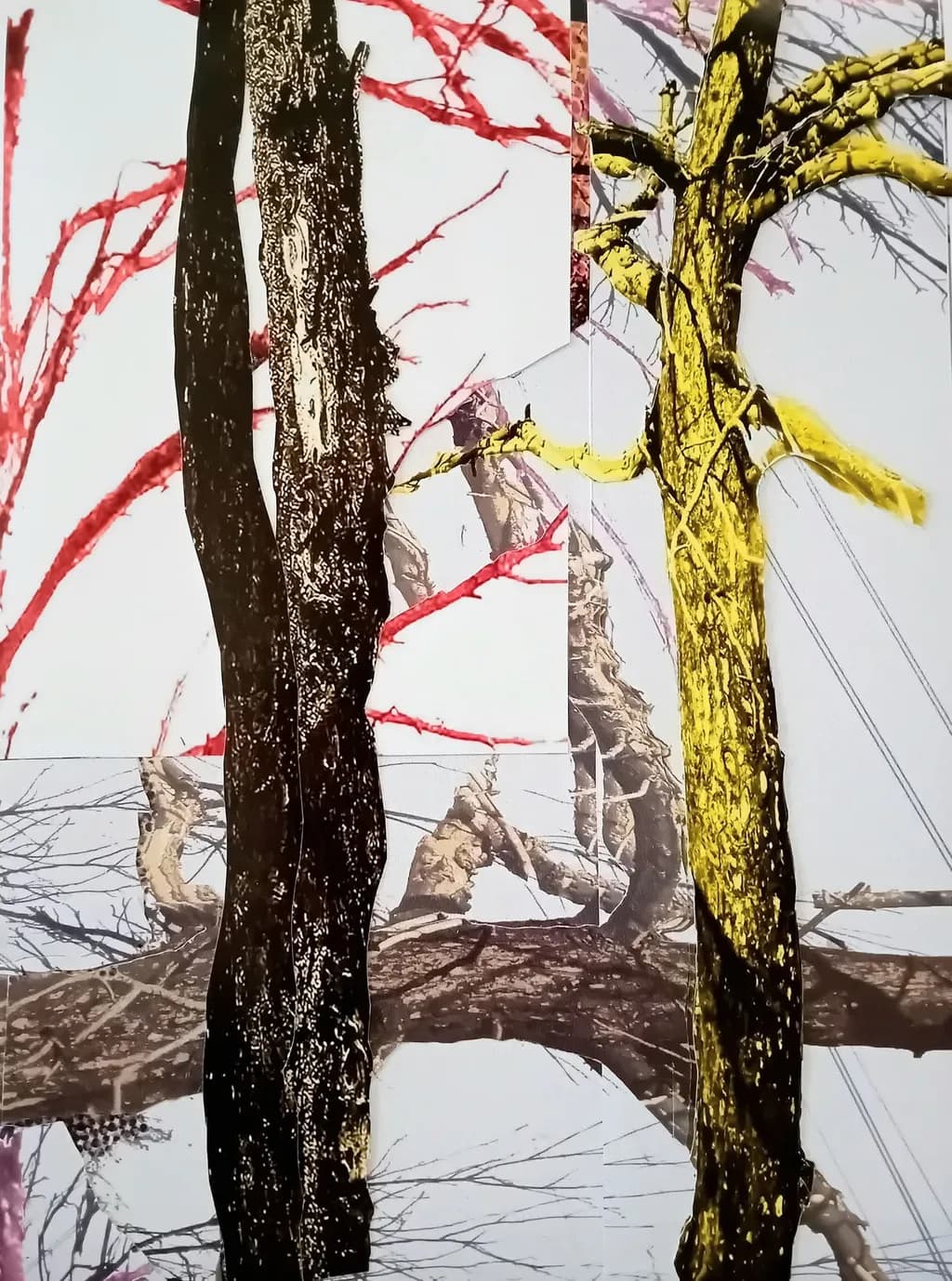 Fragmented Trees