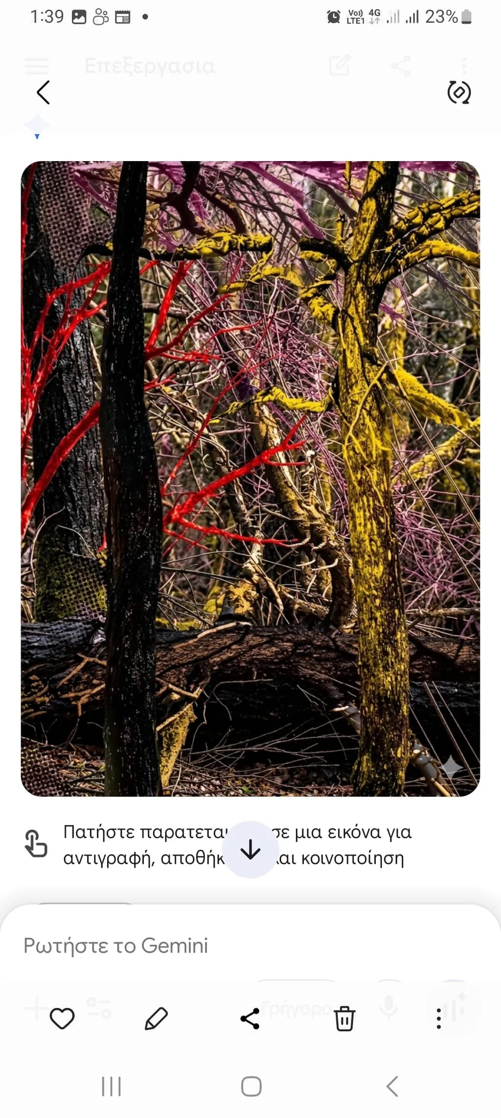 Chromatic Forest Tangle