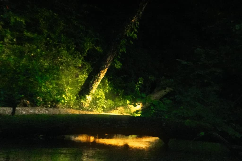 Whispers of Light: A Serene Night by the Water's Edge
