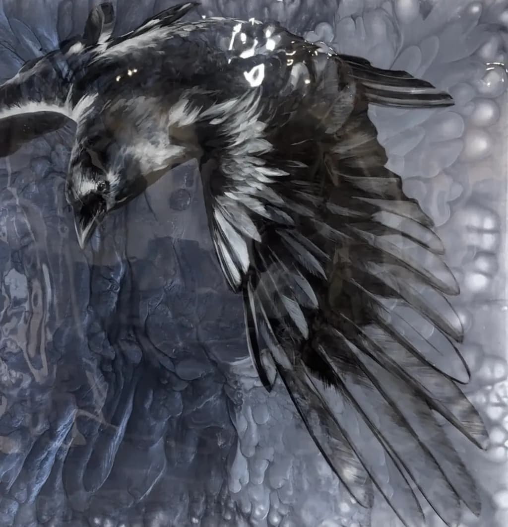 Shadowed Flight