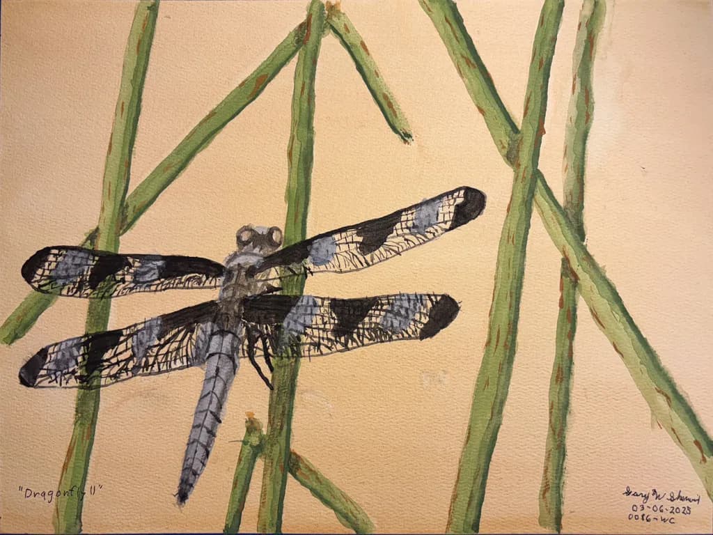 Dragonfly II