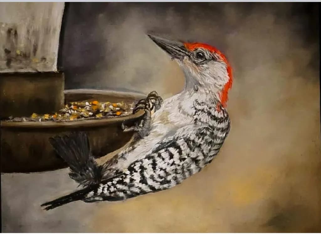 Woodpecker at Feeder