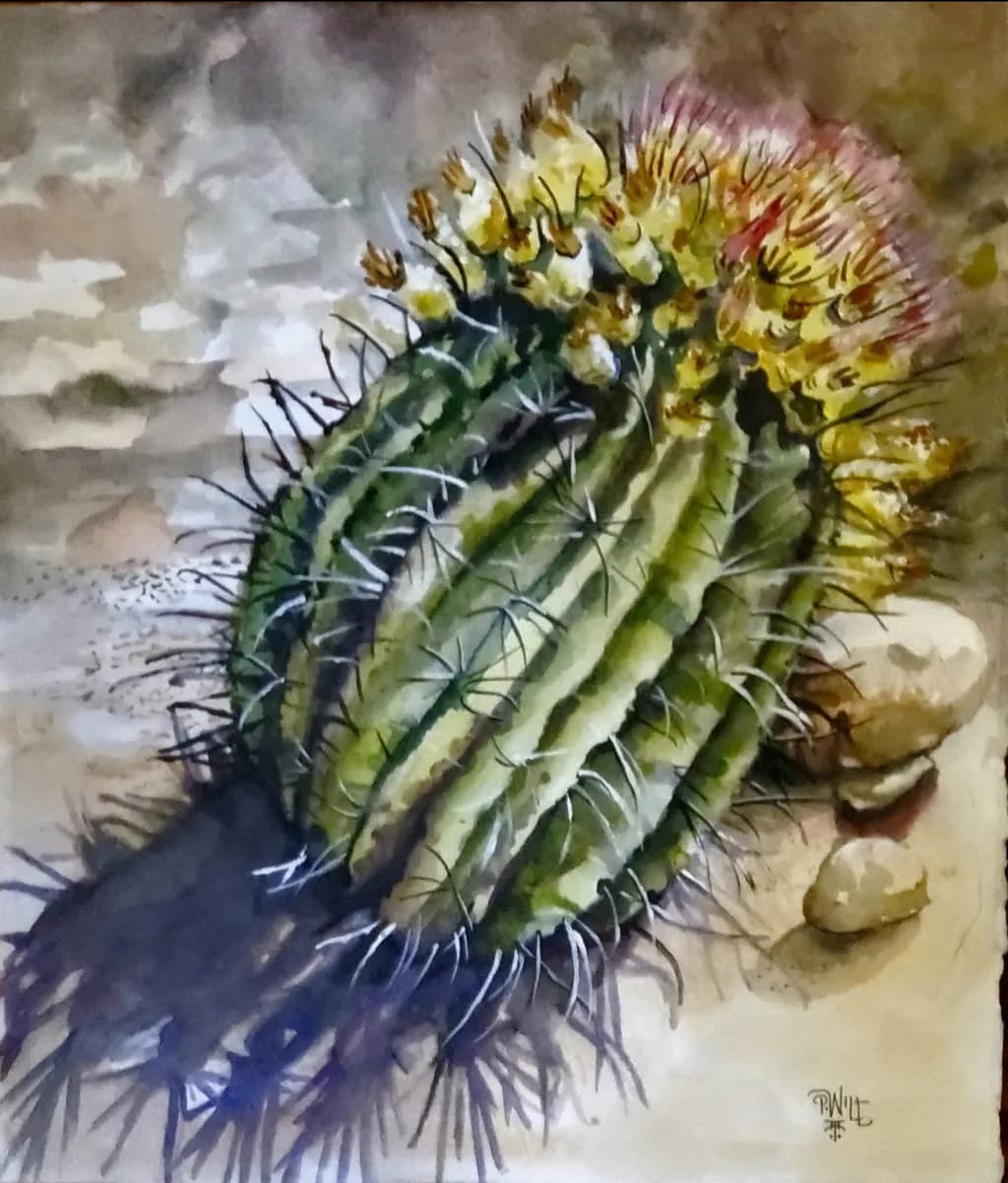 Blooming Cactus