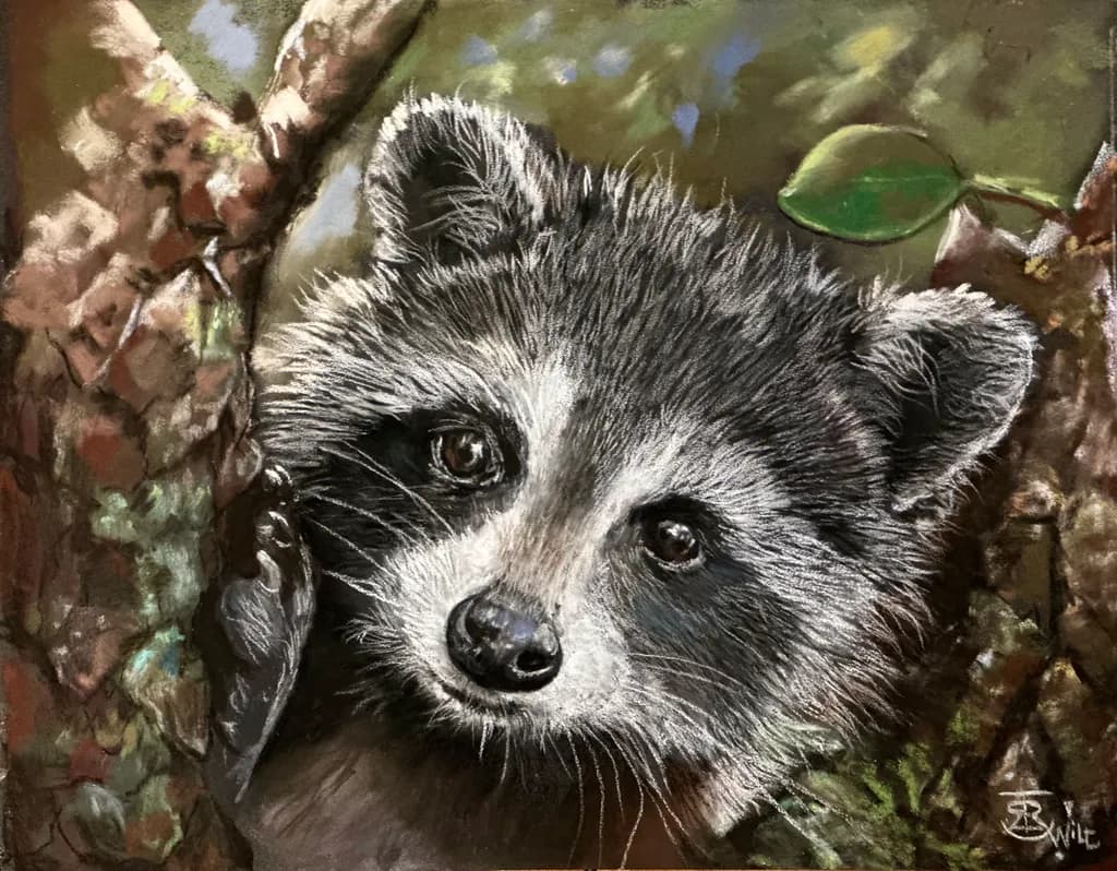 Forest Raccoon Peek