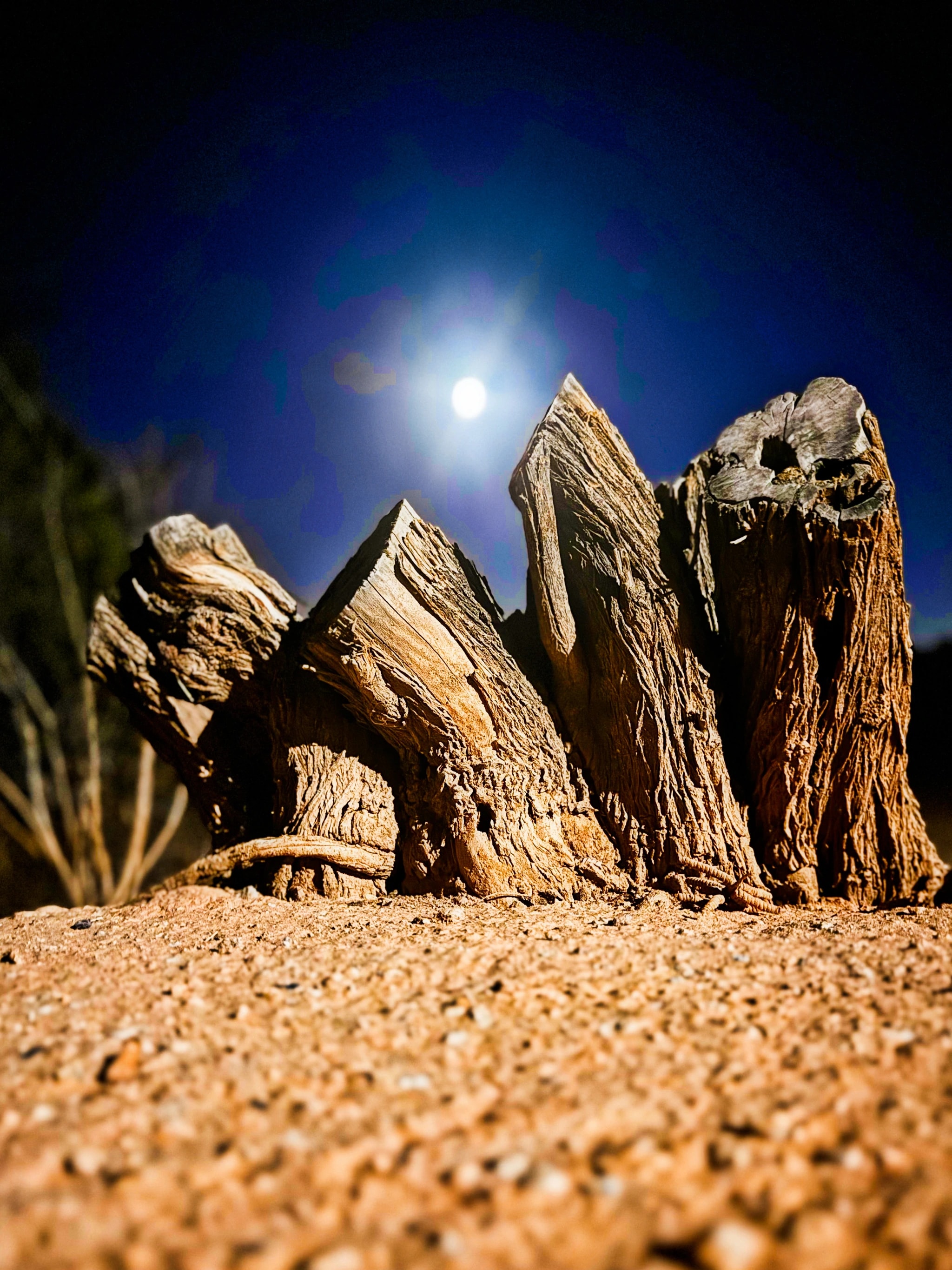 Still Standing Under the Moon