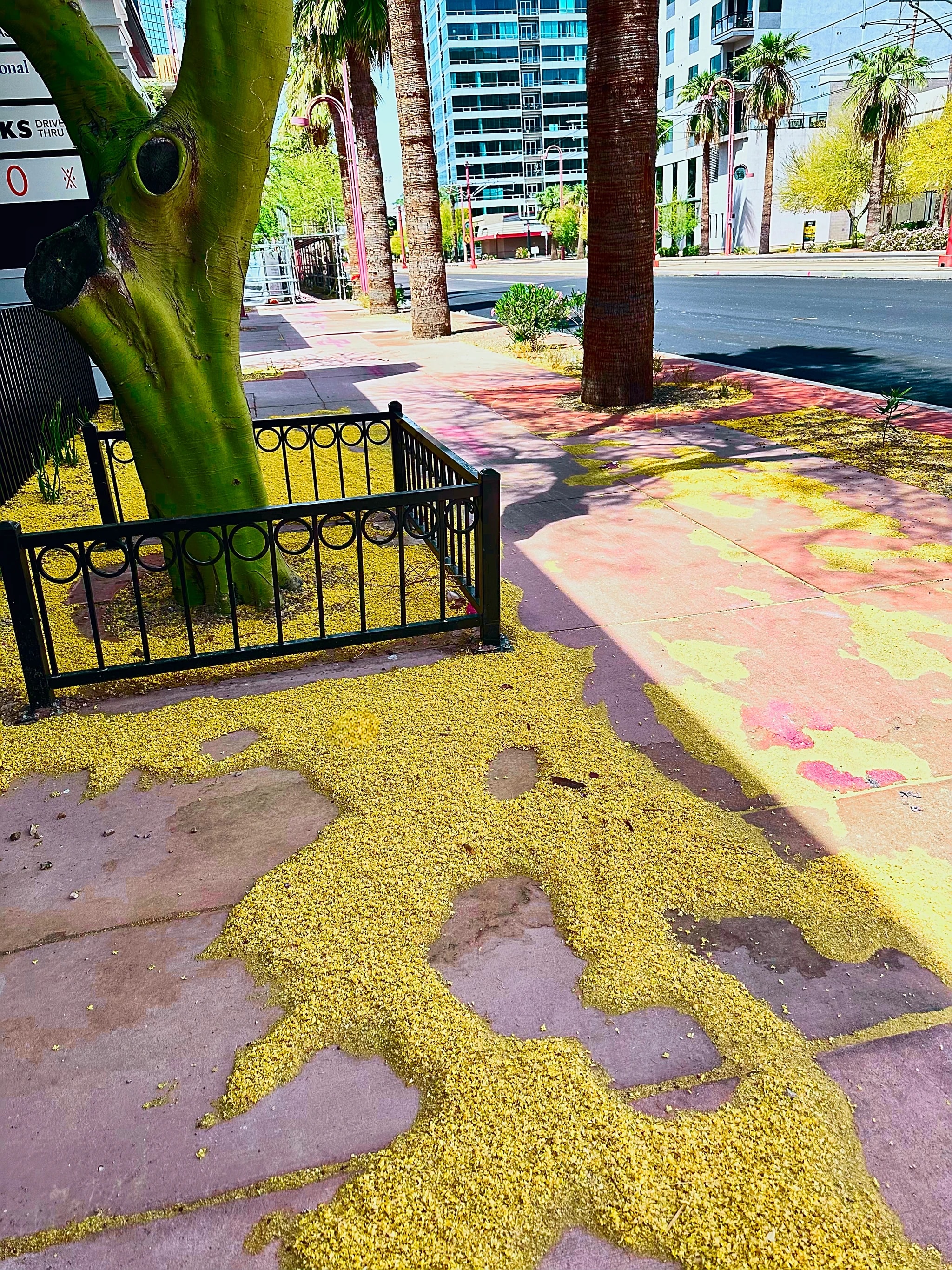 What Survives the Sidewalk