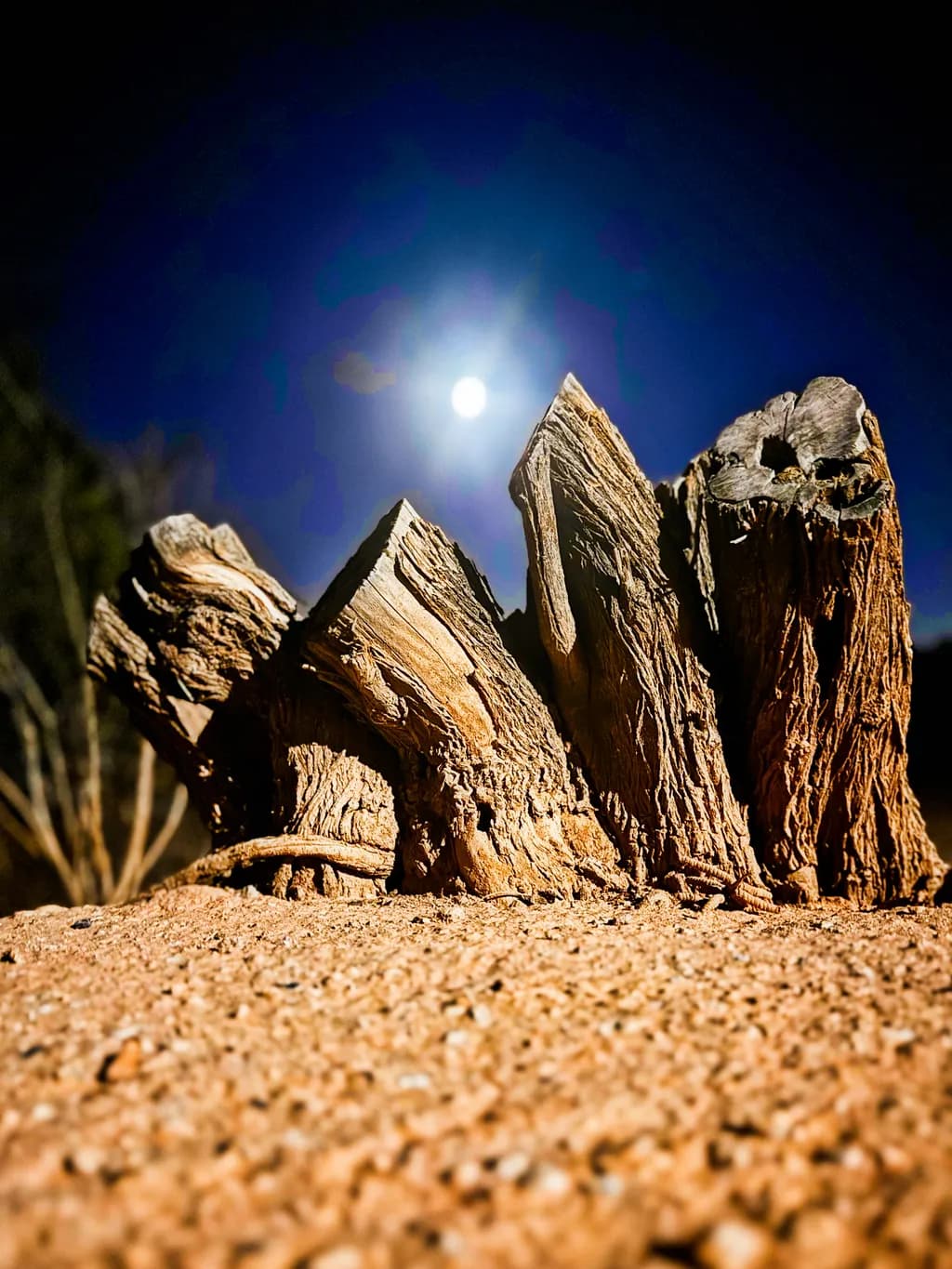 Still Standing Under the Moon