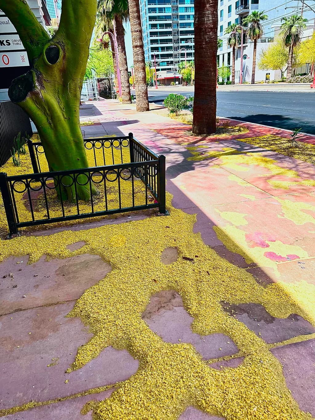 What Survives the Sidewalk