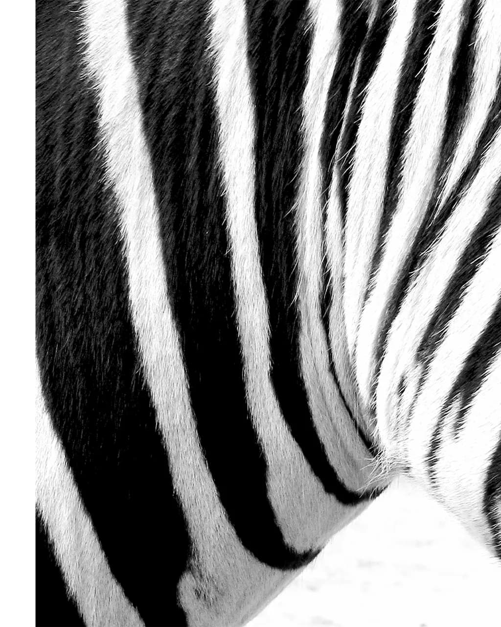 Banding Patterns