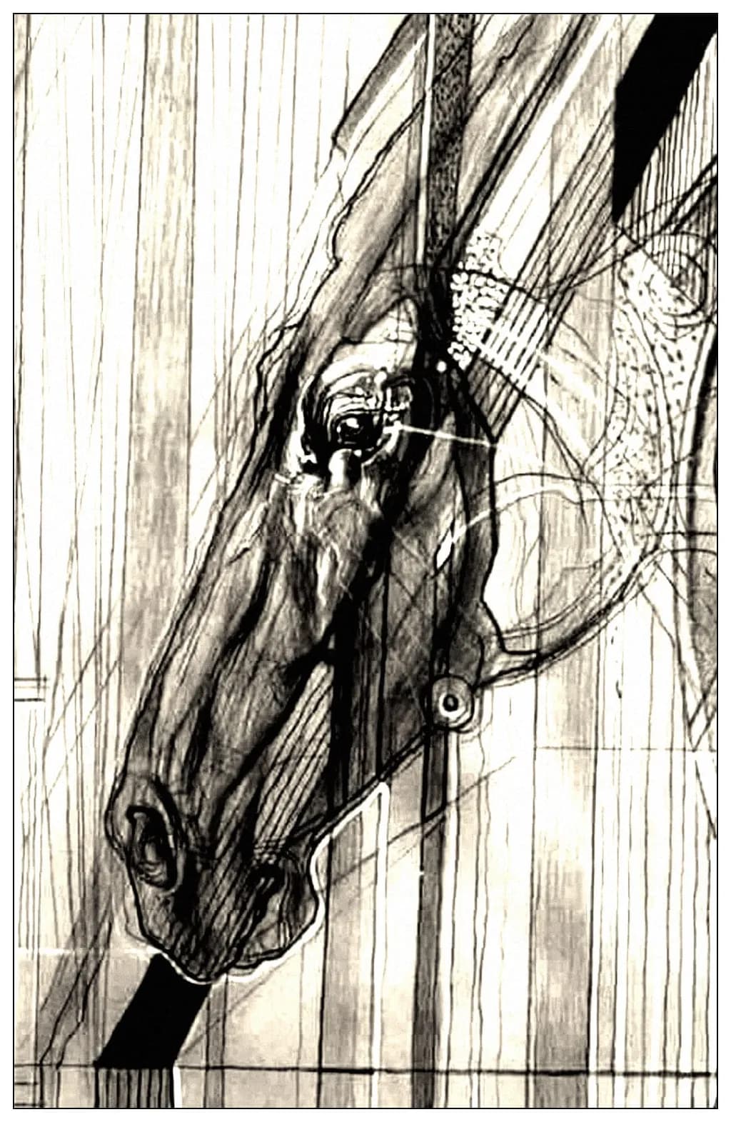 Equine Essence