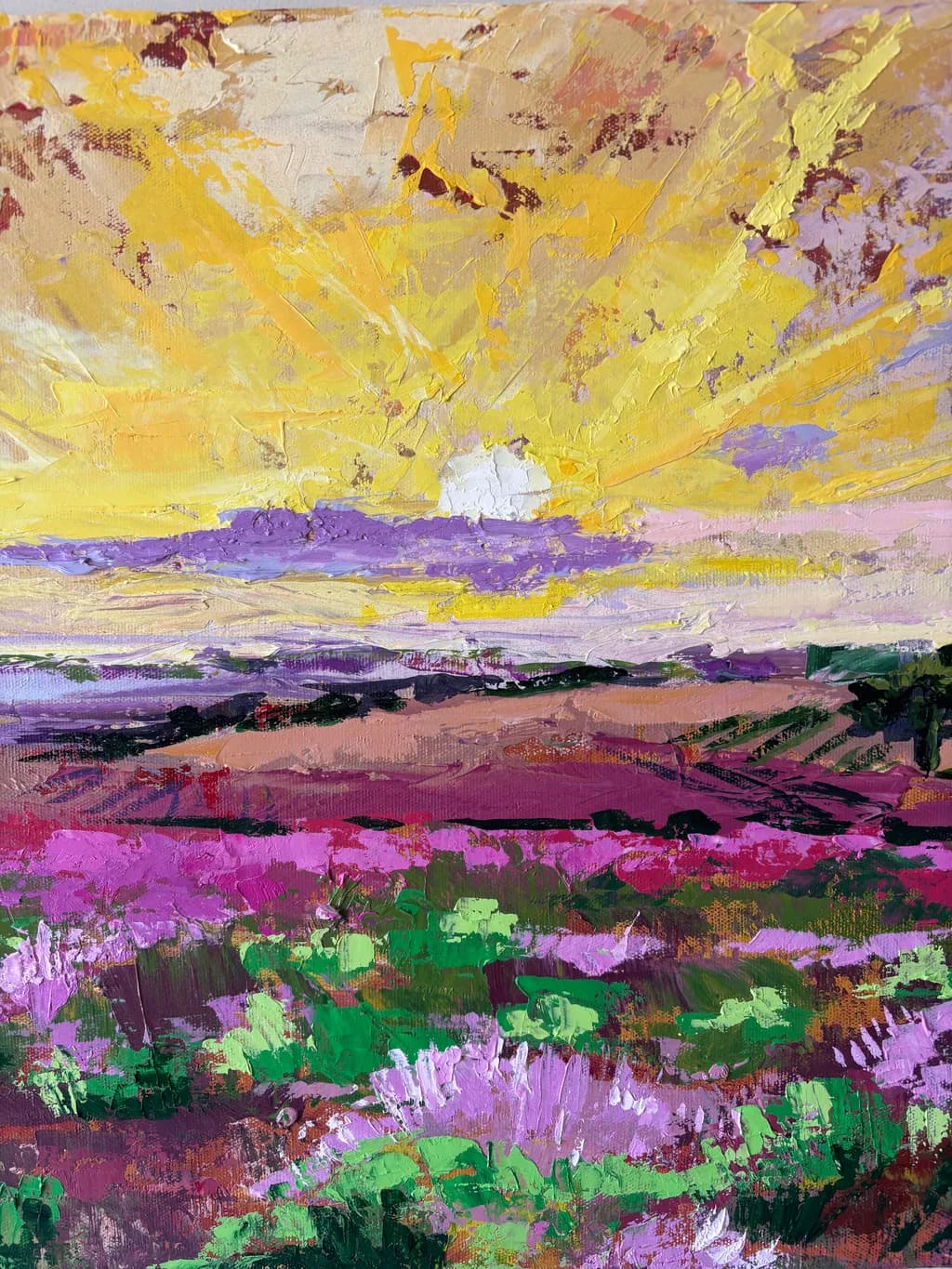 Sunset Bloom