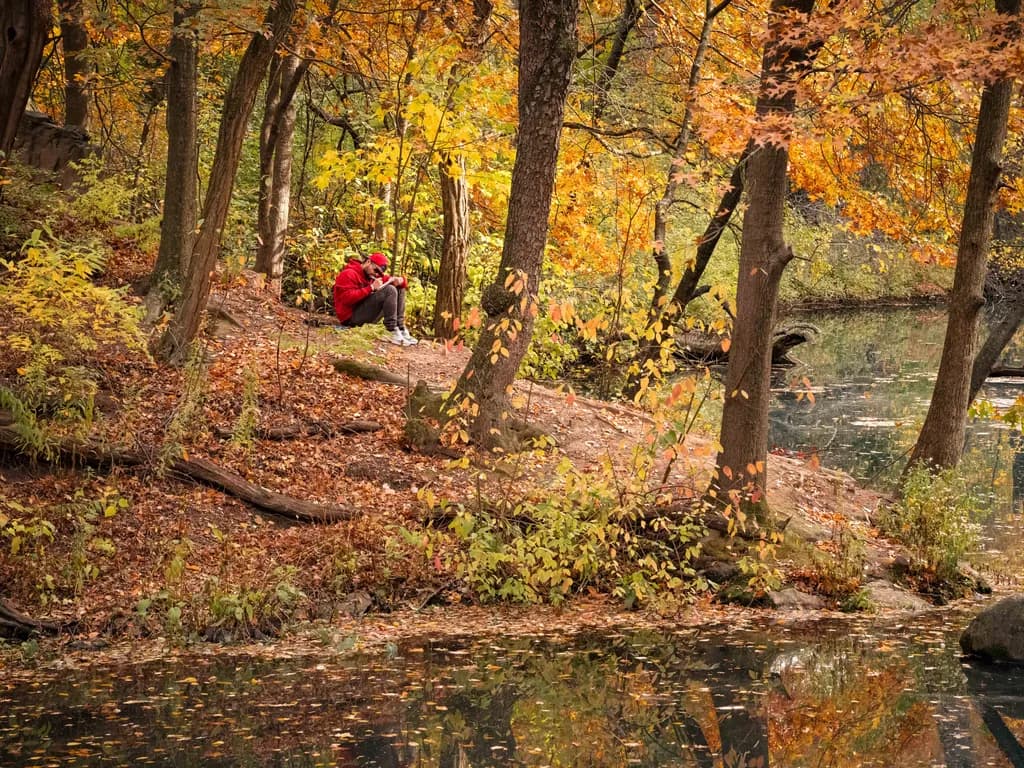Whispers of Autumn: A Serene Retreat by the Water's Edge