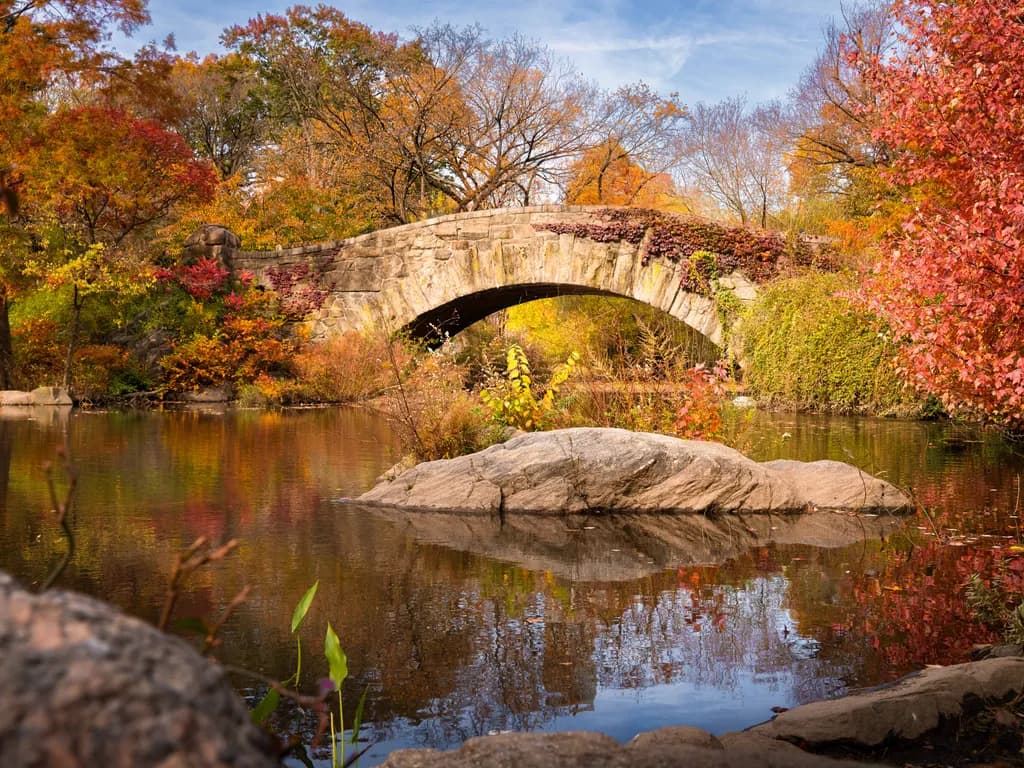 Bridge Over A Pond