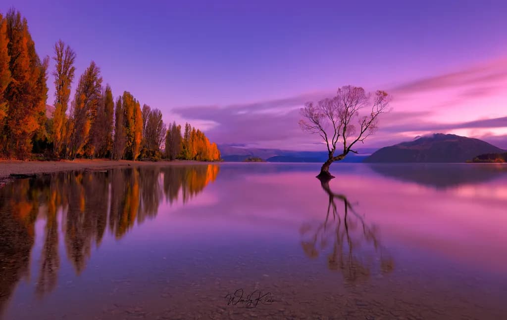 Whispers of Twilight: A Serene Reflection of Nature's Beauty