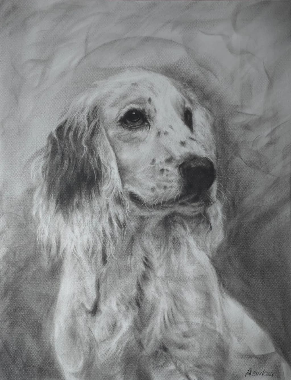 Whispers of Loyalty: A Realistic Black-and-White Dog Portrait