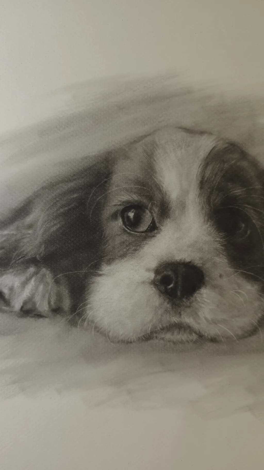 Whispers of Innocence: A Captivating Portrait of a Sleeping Puppy