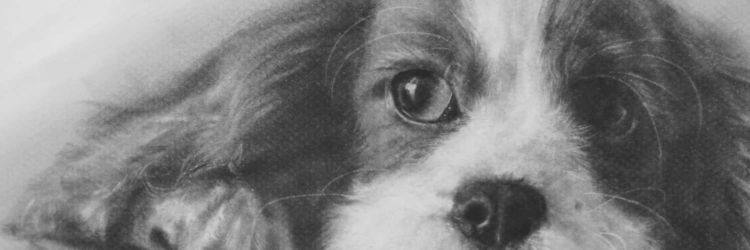 Banner do perfil