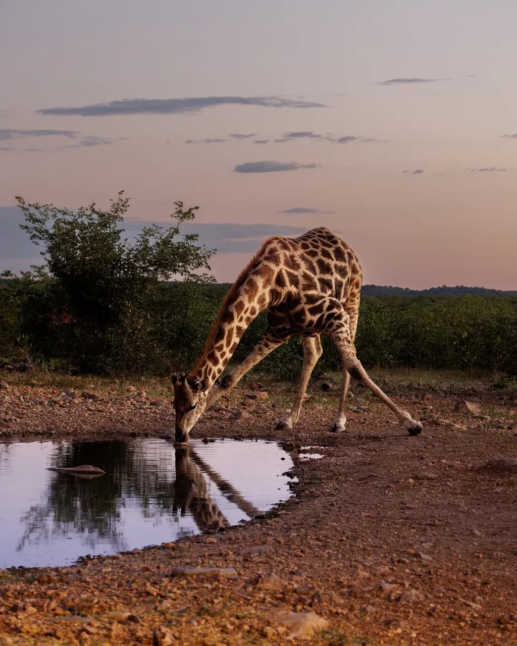 Sunset at the Waterhole