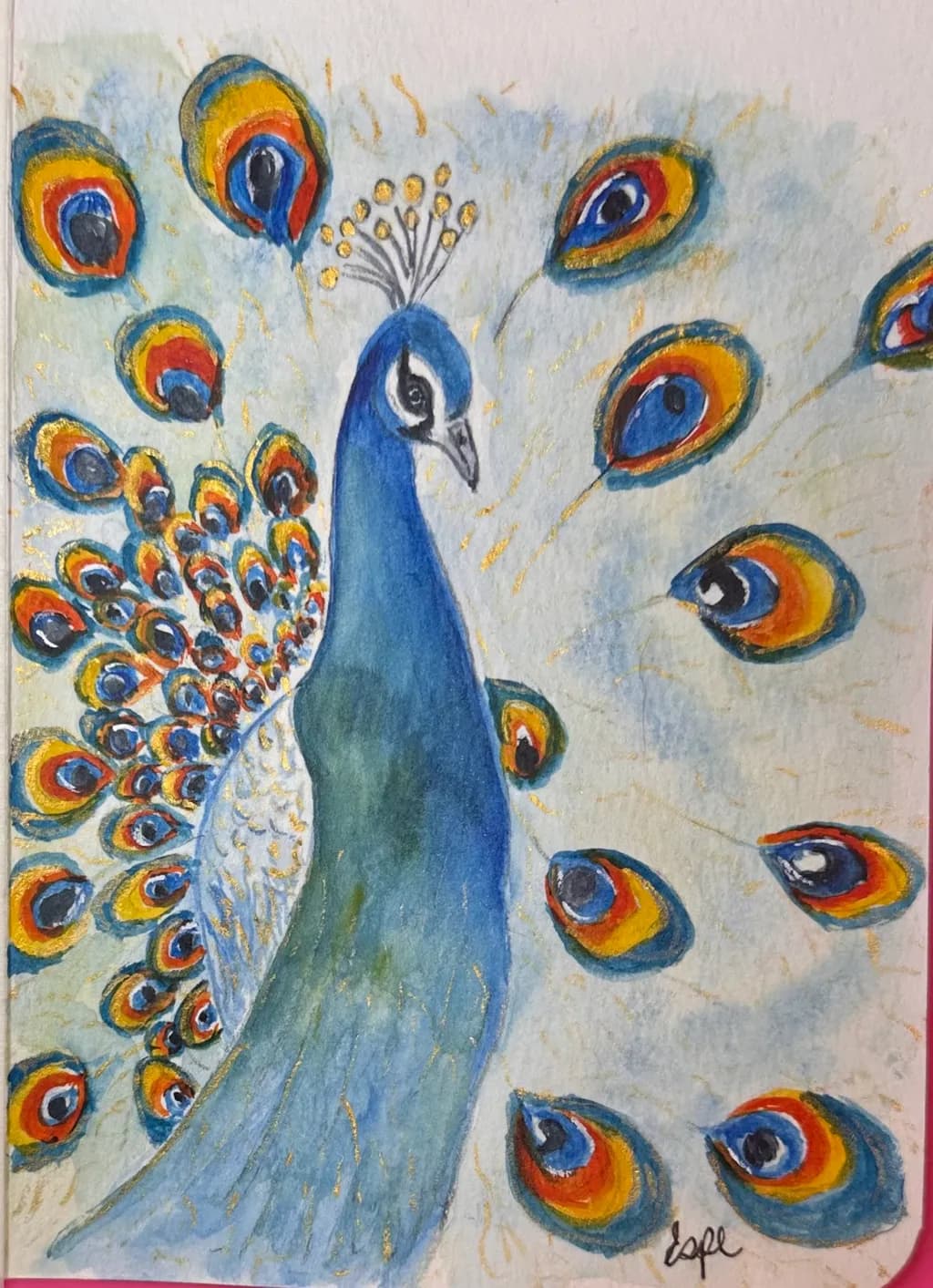 Peacock Splendor