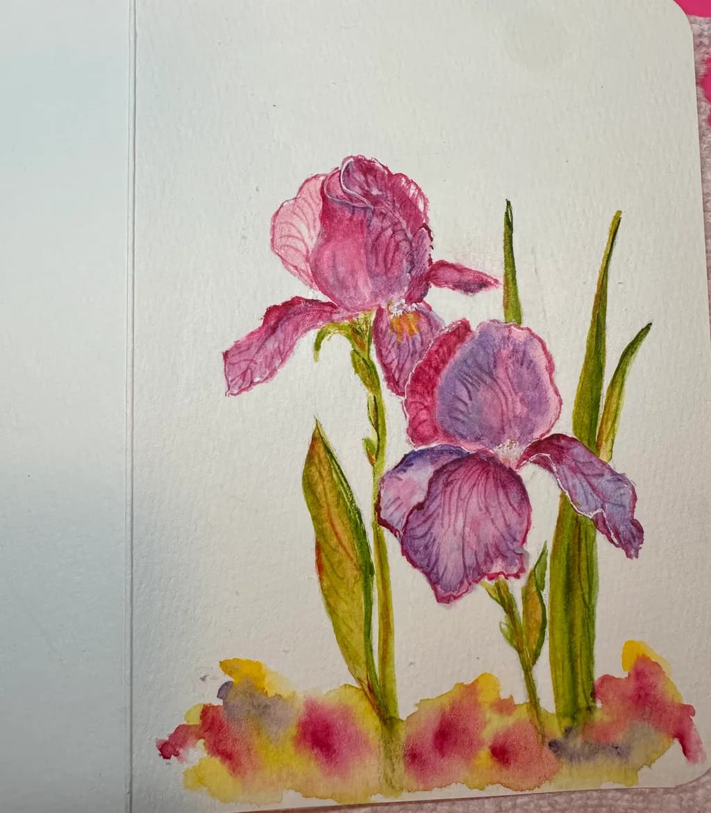 Purple Iris Bloom