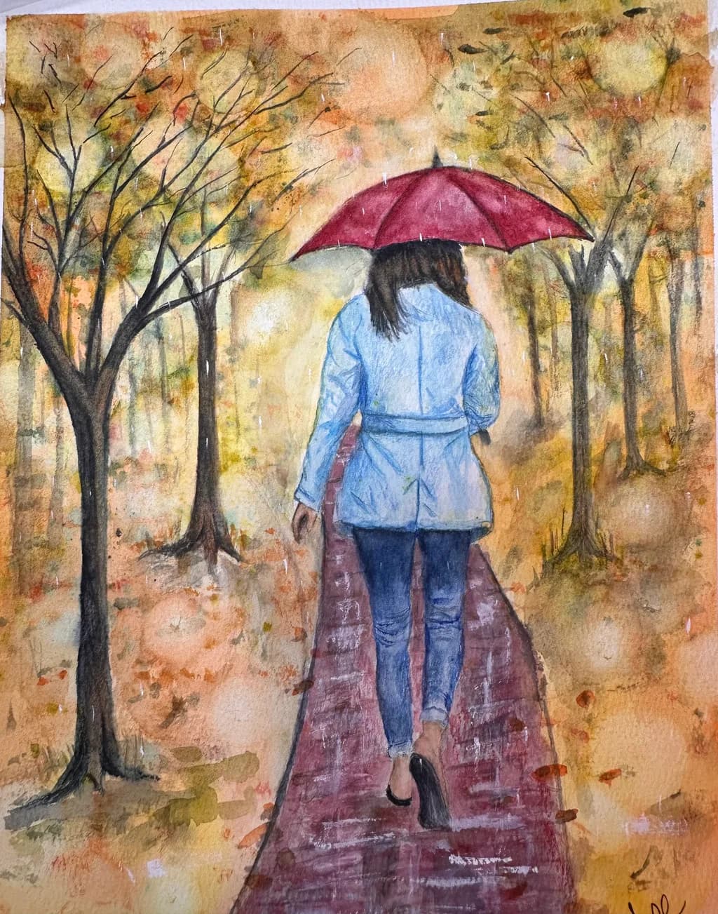 Autumn Forest Walk