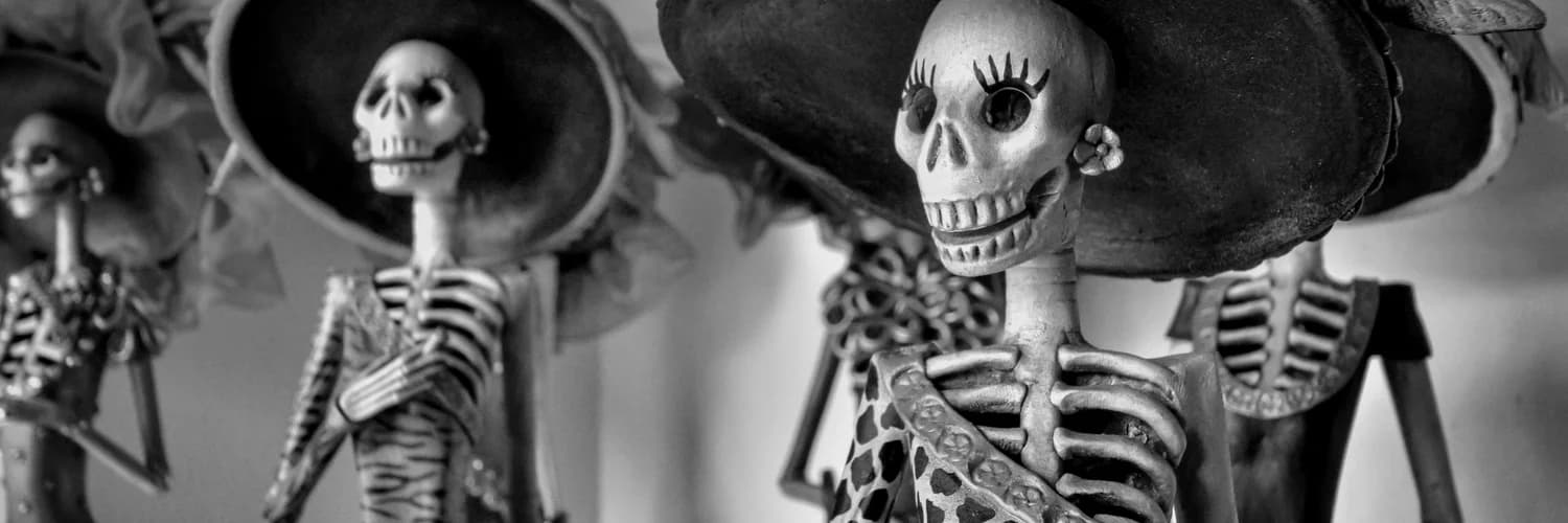 Profile banner