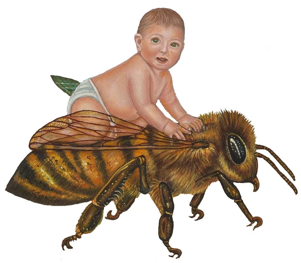 Baby on Bee