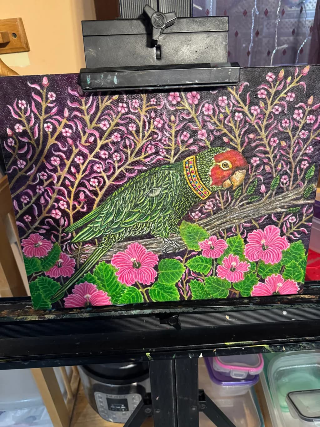 Regal Parrot in Bloom