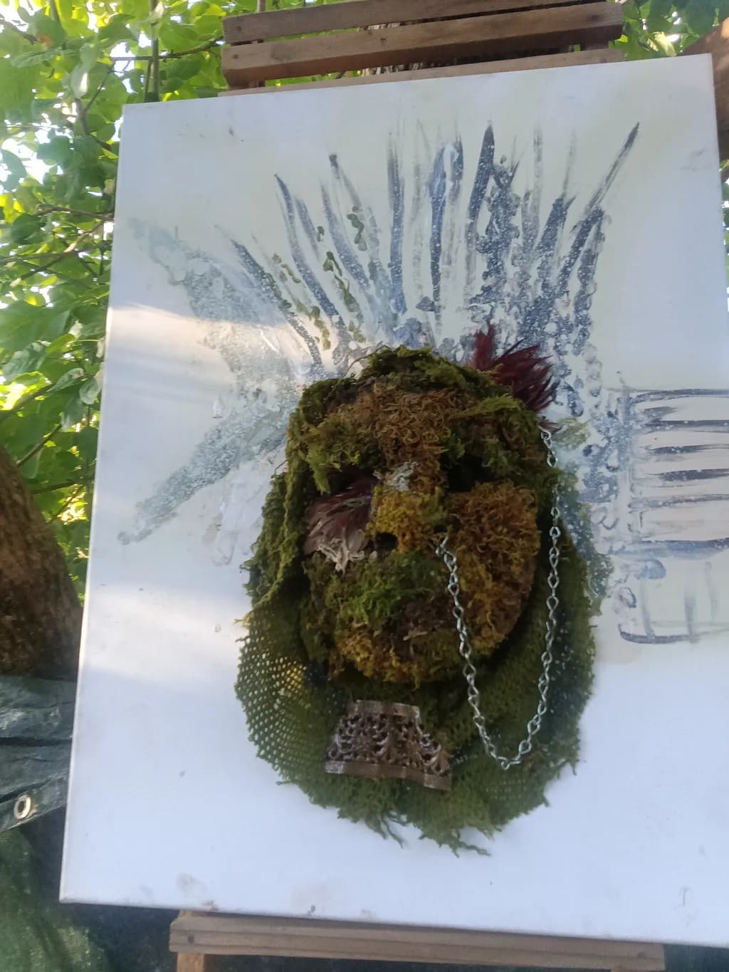 Moss Sentinel