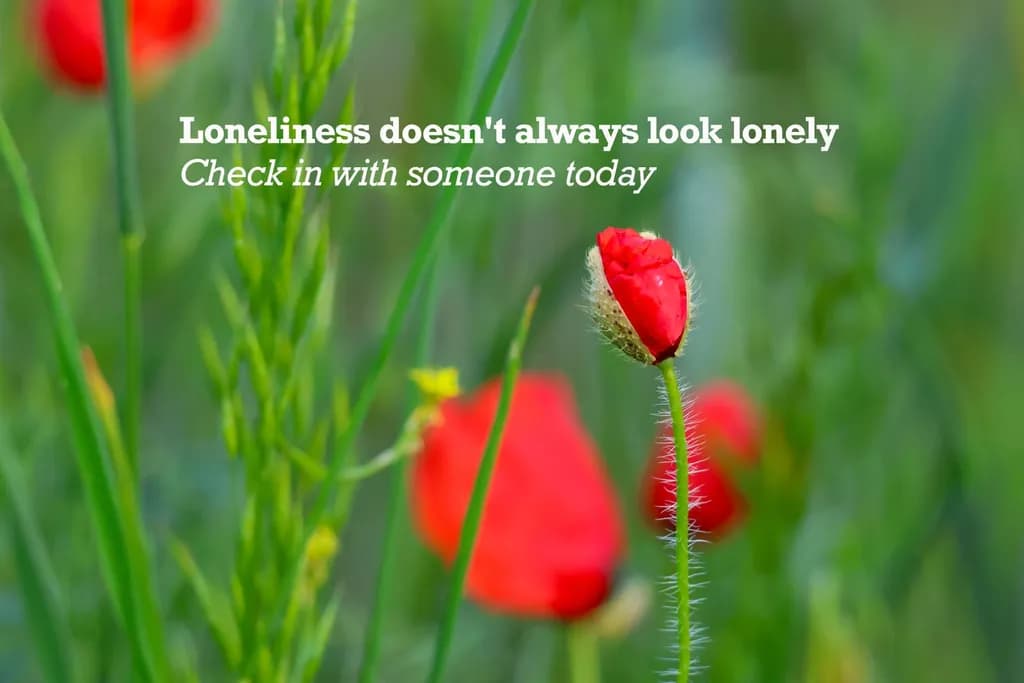 Silent Poppy