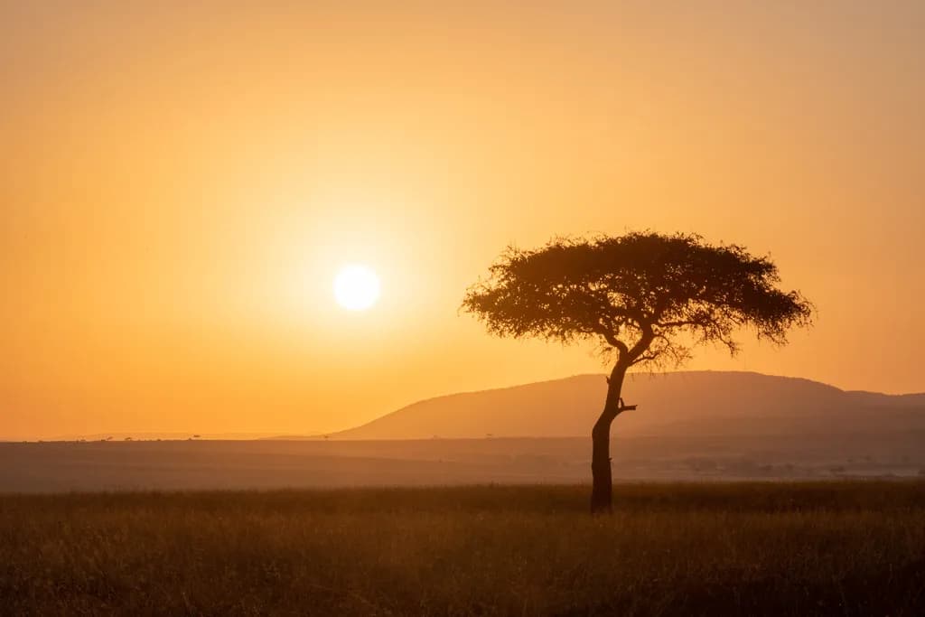 African Sunrise