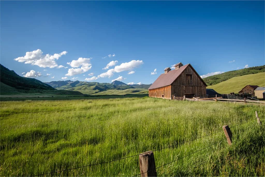 Colorado Barnstead