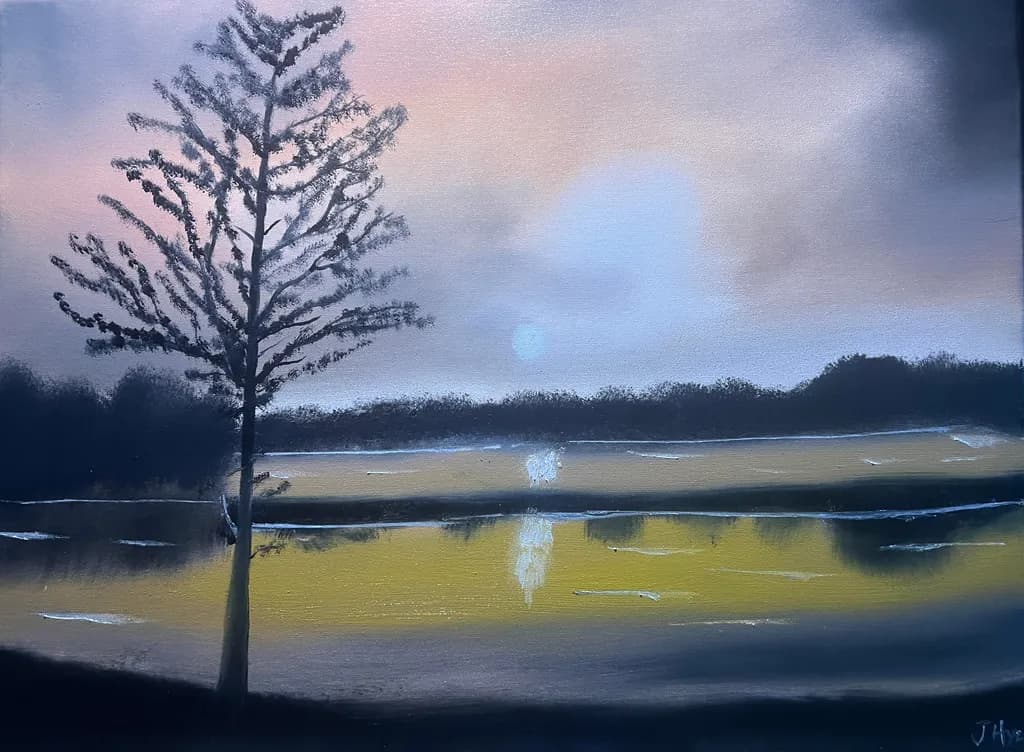 Daybreak in Swamp
