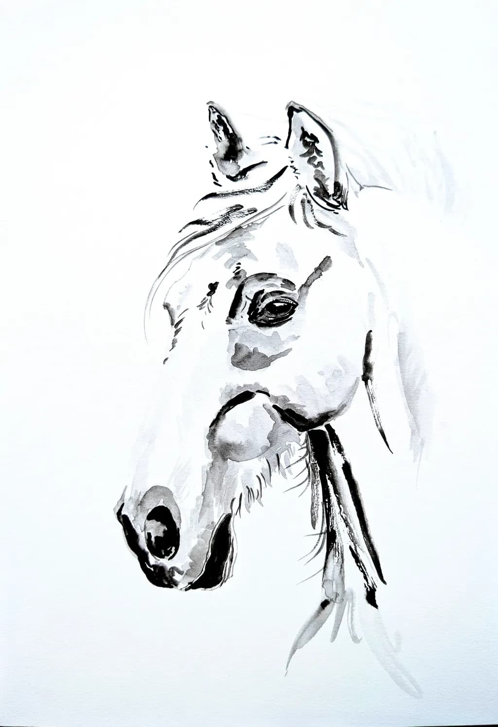 Majestic Equine