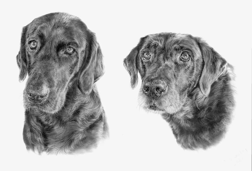 Huxley and Worthy