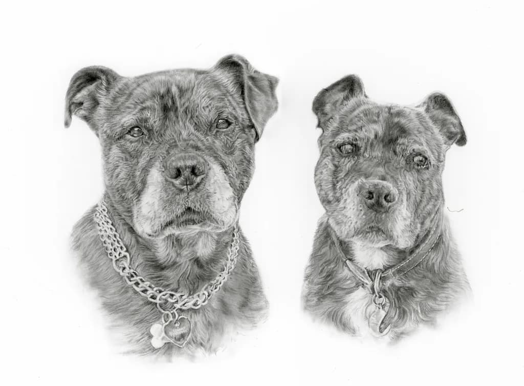 Sabre and Millie