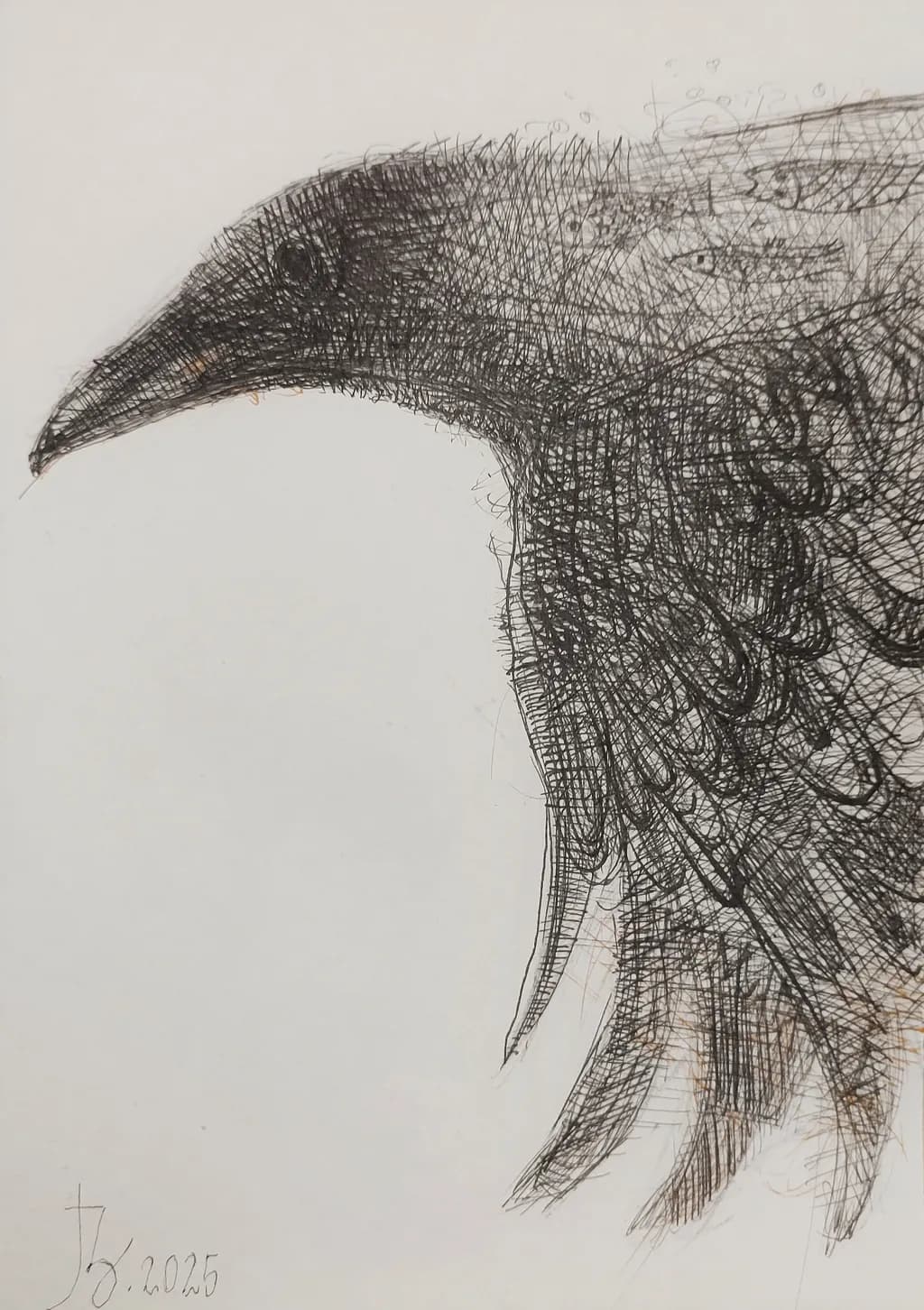 Whispers of the Raven: A Delicate Dance of Shadows and Lines