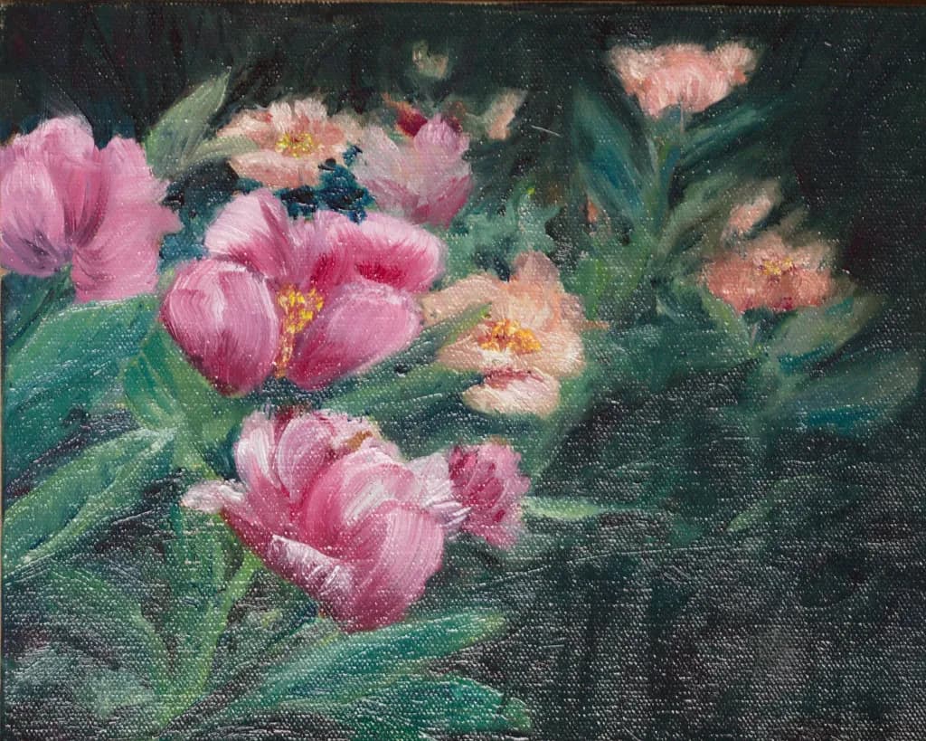 Garden Peonies