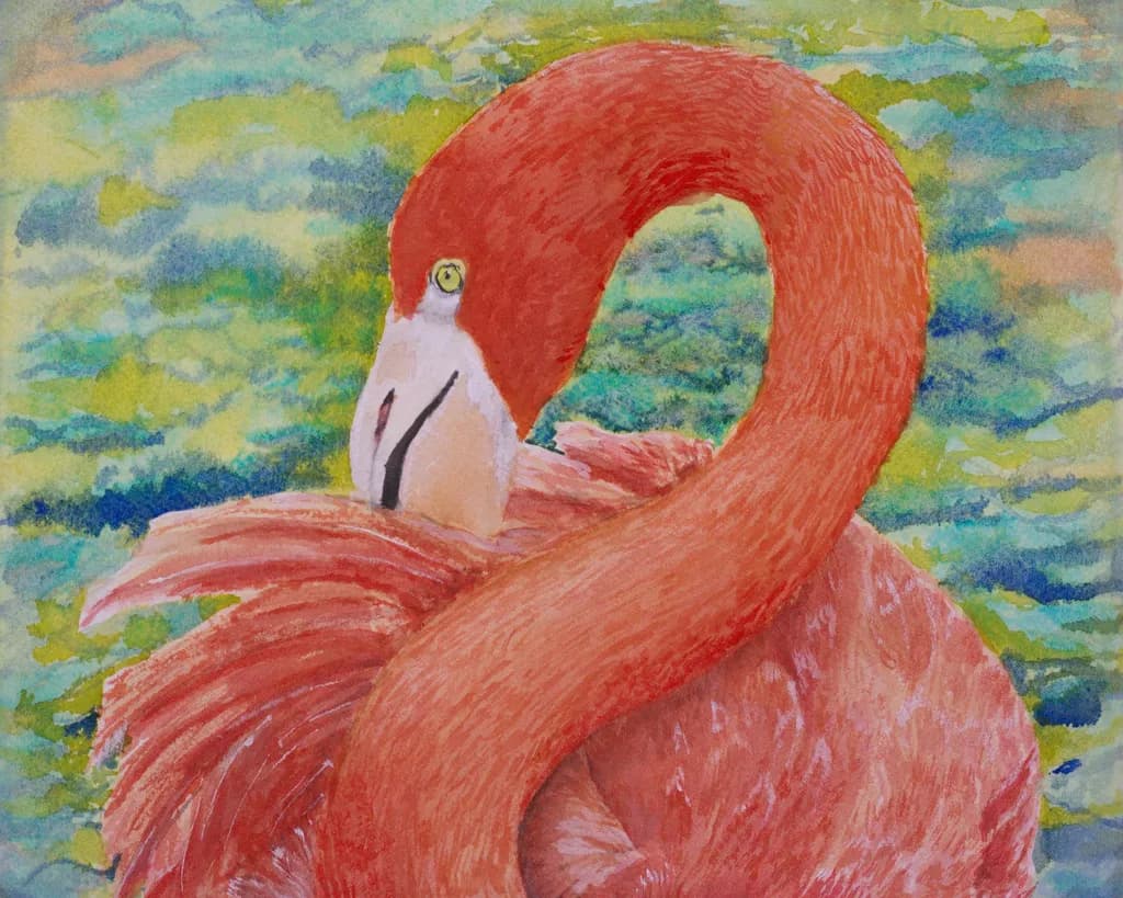 Flamingo Reflection