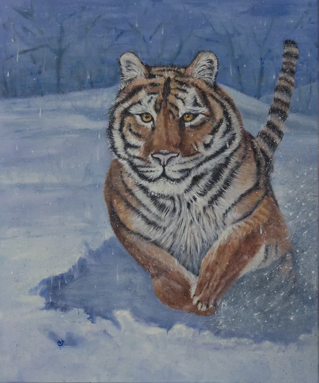 Snowy Tiger