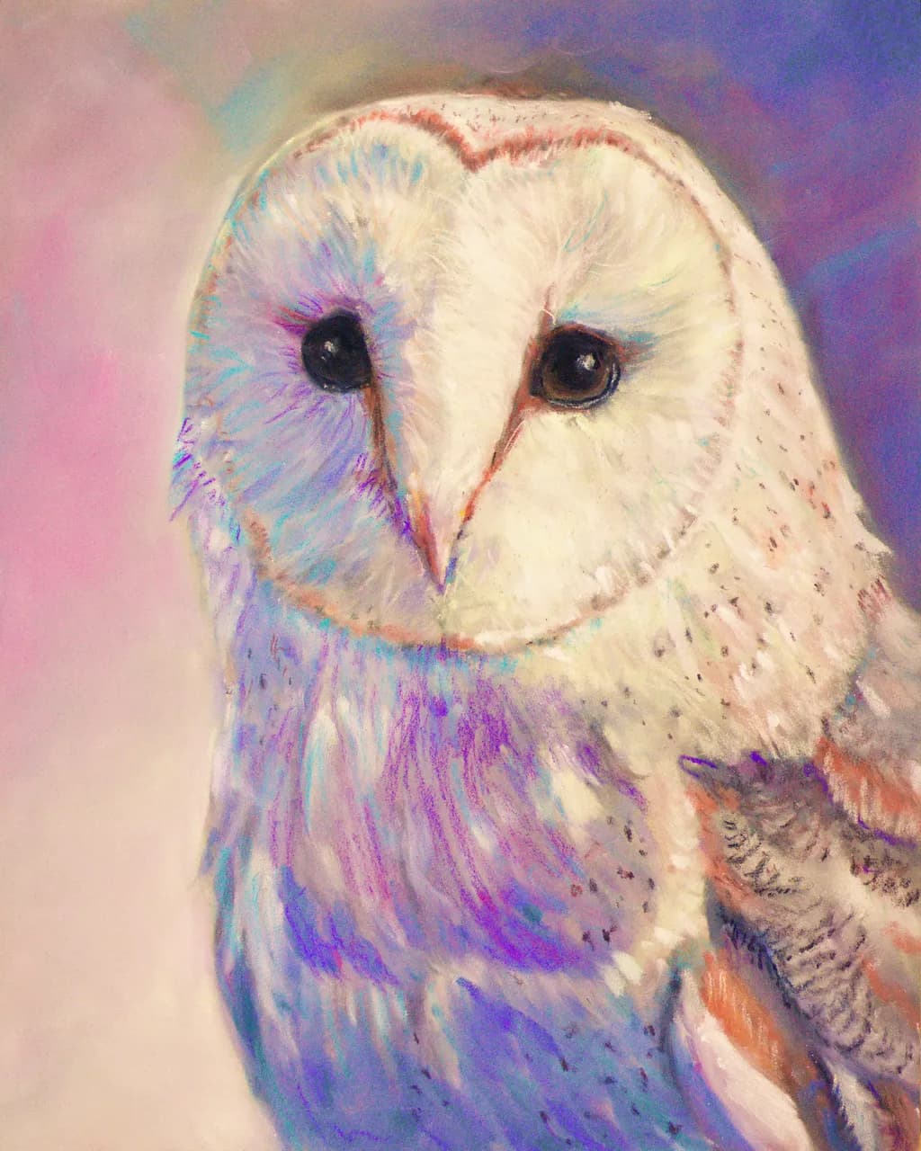 Owl Study