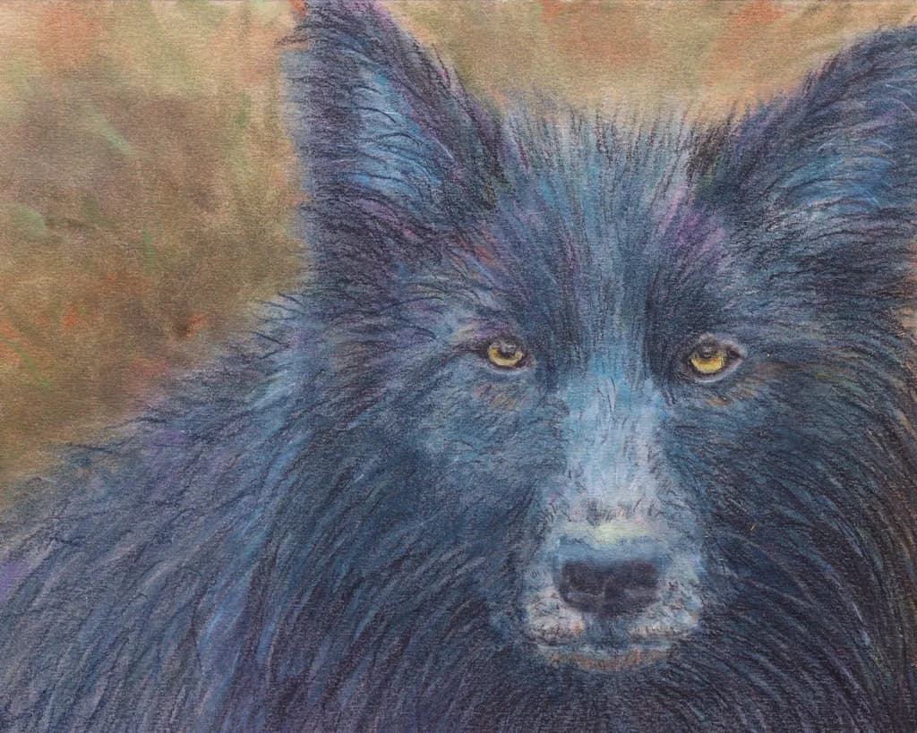 Black Wolf Portrait
